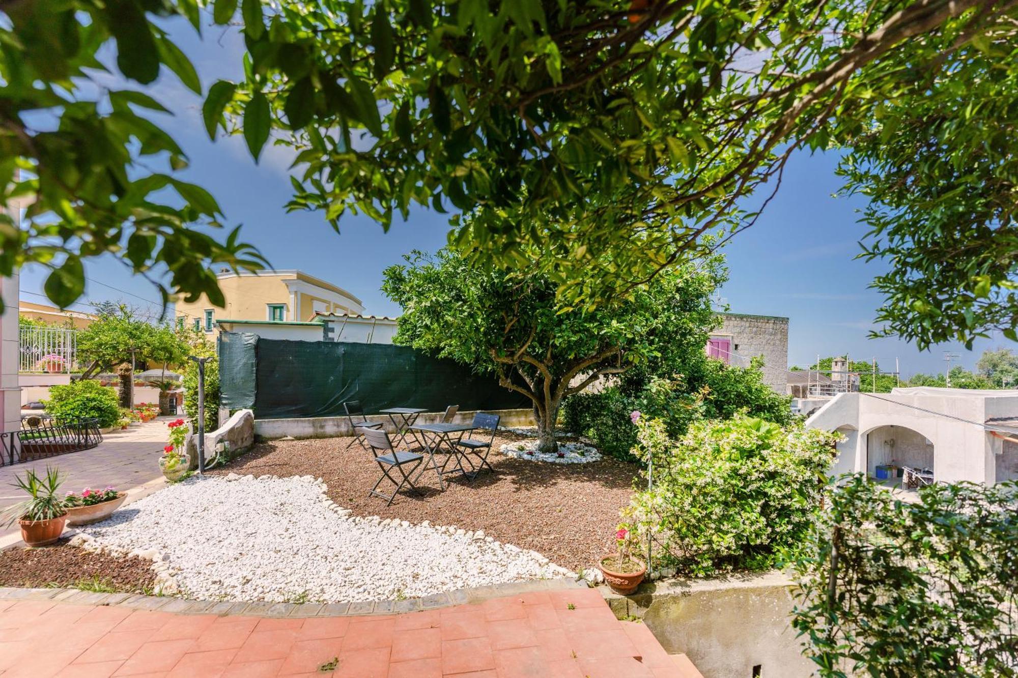 Le Jardin Bed and Breakfast Procida Exterior foto