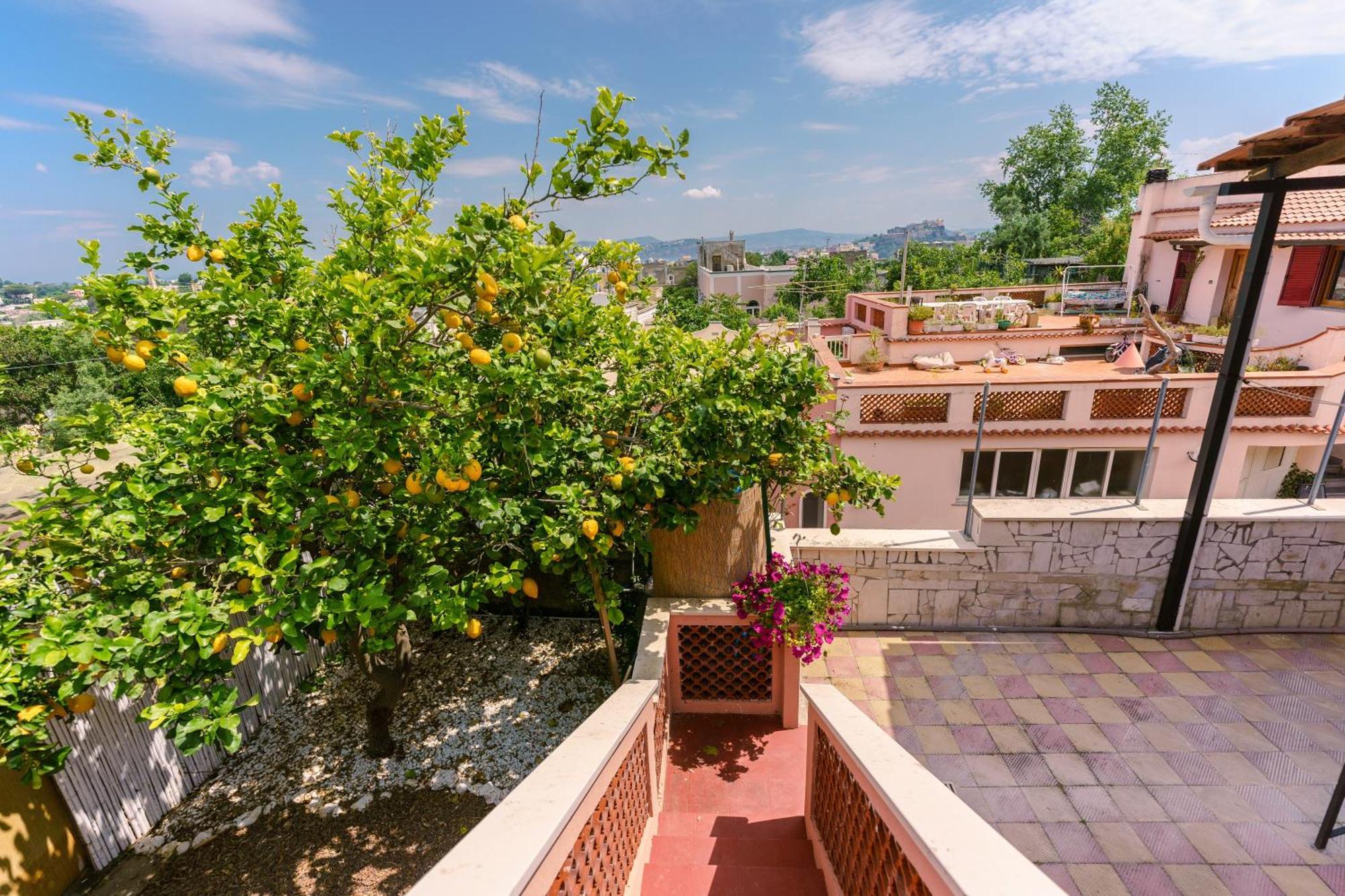 Le Jardin Bed and Breakfast Procida Exterior foto