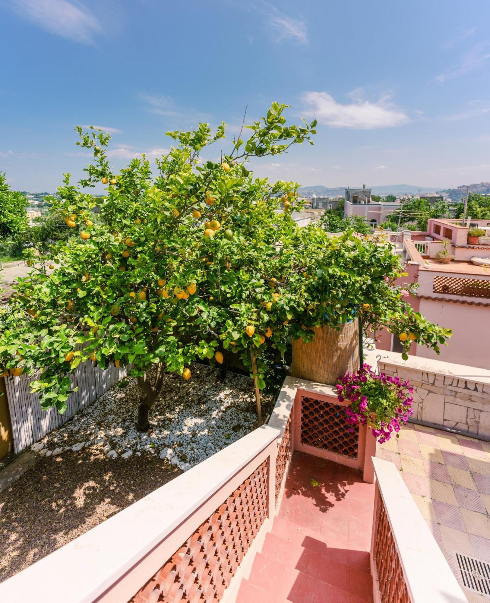 Le Jardin Bed and Breakfast Procida Exterior foto